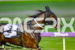 2026_PACEPIX_GP07072026_Race1_Scandaleyes_WIN_WEB-4