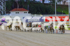 2025_PACEPIX_GP03062025_RACE1_Shehadi_WIN_WEB-1
