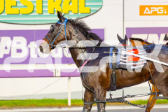 2025_PACEPIX_GP03062025_RACE1_Shehadi_WIN_WEB-11