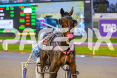 2025_PACEPIX_GP03062025_RACE1_Shehadi_WIN_WEB-13