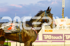 2025_PACEPIX_GP03062025_RACE1_Shehadi_WIN_WEB-17
