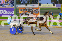 2025_PACEPIX_GP03062025_RACE1_Shehadi_WIN_WEB-6