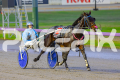 2025_PACEPIX_GP03062025_RACE1_Shehadi_WIN_WEB-8