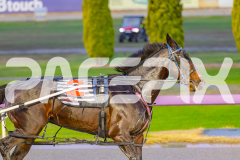 2025_PACEPIX_GP03062025_RACE1_Shehadi_WIN_WEB-9
