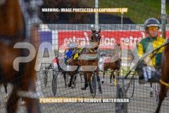 2026_PACEPIX_GP02102026_Race1_SisterCherie_WIN_WEB-1