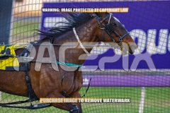 2026_PACEPIX_GP02102026_Race1_SisterCherie_WIN_WEB-11