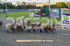 2026_PACEPIX_GP02102026_Race1_SisterCherie_WIN_WEB-12