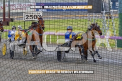 2026_PACEPIX_GP02102026_Race1_SisterCherie_WIN_WEB-15