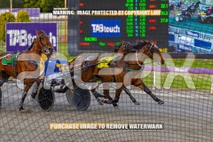 2026_PACEPIX_GP02102026_Race1_SisterCherie_WIN_WEB-17