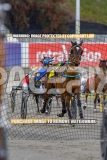 2026_PACEPIX_GP02102026_Race1_SisterCherie_WIN_WEB-2