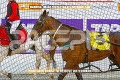 2026_PACEPIX_GP02102026_Race1_SisterCherie_WIN_WEB-23
