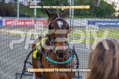 2026_PACEPIX_GP02102026_Race1_SisterCherie_WIN_WEB-24