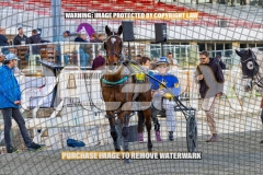 2026_PACEPIX_GP02102026_Race1_SisterCherie_WIN_WEB-31