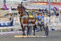 2026_PACEPIX_GP02102026_Race1_SisterCherie_WIN_WEB-32