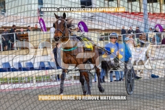 2026_PACEPIX_GP02102026_Race1_SisterCherie_WIN_WEB-33