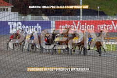 2026_PACEPIX_GP02102026_Race1_SisterCherie_WIN_WEB-8