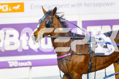 2025_PACEPIX_GP11072025_Race1_SlayQueen_WIN_WEB-10