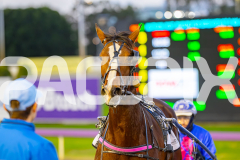 2025_PACEPIX_GP11072025_Race1_SlayQueen_WIN_WEB-12