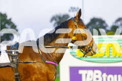 2025_PACEPIX_GP11072025_Race1_SlayQueen_WIN_WEB-14