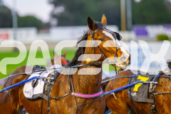 2025_PACEPIX_GP11072025_Race1_SlayQueen_WIN_WEB-7