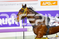 2026_PACEPIX_GP29052026_RACE1_SohoTheRealDeal_WIN_WEB-16