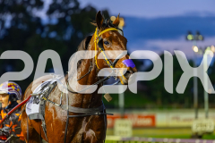 2026_PACEPIX_GP29052026_RACE1_SohoTheRealDeal_WIN_WEB-22