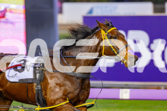 2026_PACEPIX_GP29052026_RACE1_SohoTheRealDeal_WIN_WEB-4