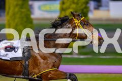 2026_PACEPIX_GP29052026_RACE1_SohoTheRealDeal_WIN_WEB-5