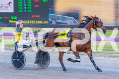 RACE 1 - Star Lilly