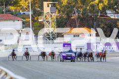 2025_PACEPIX_GP14112025_RACE1_StarLilly_WIN_WEB-1