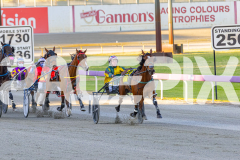 2025_PACEPIX_GP14112025_RACE1_StarLilly_WIN_WEB-11