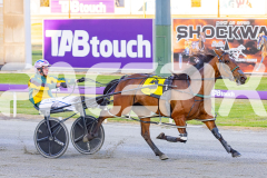2025_PACEPIX_GP14112025_RACE1_StarLilly_WIN_WEB-15