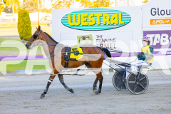 2025_PACEPIX_GP14112025_RACE1_StarLilly_WIN_WEB-19