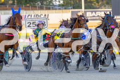 2025_PACEPIX_GP14112025_RACE1_StarLilly_WIN_WEB-2