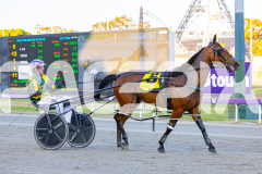 2025_PACEPIX_GP14112025_RACE1_StarLilly_WIN_WEB-21