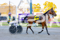2025_PACEPIX_GP14112025_RACE1_StarLilly_WIN_WEB-22