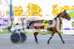 2025_PACEPIX_GP14112025_RACE1_StarLilly_WIN_WEB-23