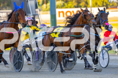 2025_PACEPIX_GP14112025_RACE1_StarLilly_WIN_WEB-3