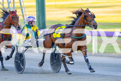 2025_PACEPIX_GP14112025_RACE1_StarLilly_WIN_WEB-6