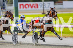 RACE 1 - Stella Deliziosa 