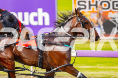 2025_PACEPIX_GP21072025_Race1_StellaDeliziosa_WIN_WEB-4