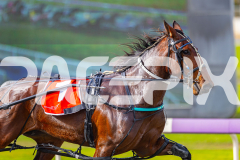 2025_PACEPIX_GP21072025_Race1_StellaDeliziosa_WIN_WEB-7