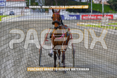 2026_PACEPIX_GP01092026_Race1_StellarEdition_WIN_WEB-16
