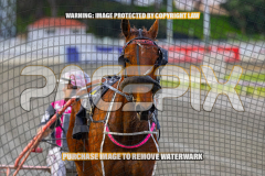 2026_PACEPIX_GP01092026_Race1_StellarEdition_WIN_WEB-17