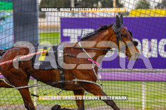 2026_PACEPIX_GP01092026_Race1_StellarEdition_WIN_WEB-4