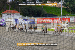 2026_PACEPIX_GP01092026_Race1_StellarEdition_WIN_WEB-5