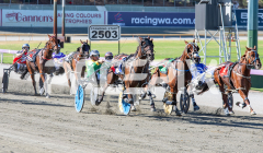 Sunpatra_24-03-2026_WIN_Gloucester-Park_1__04