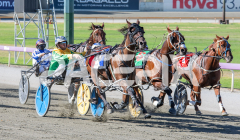 Sunpatra_24-03-2026_WIN_Gloucester-Park_1__05