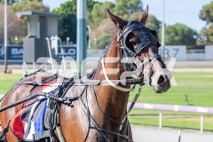 Sunpatra_24-03-2026_WIN_Gloucester-Park_1__12