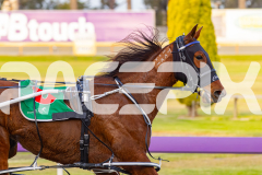 2025_PACEPIX_GP03102025_RACE1_SweetCoco_WIN_WEB-15